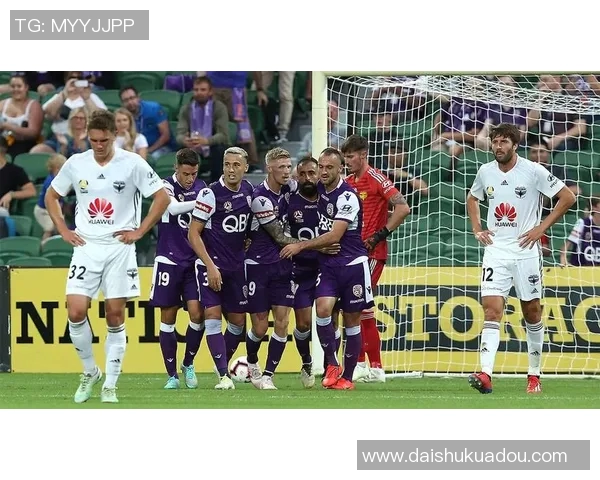 2017年西悉尼对阵惠灵顿精彩赛事回顾与分析