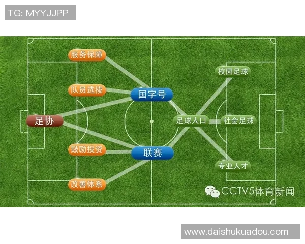 中国足球明星的崛起与国际舞台的影响力分析