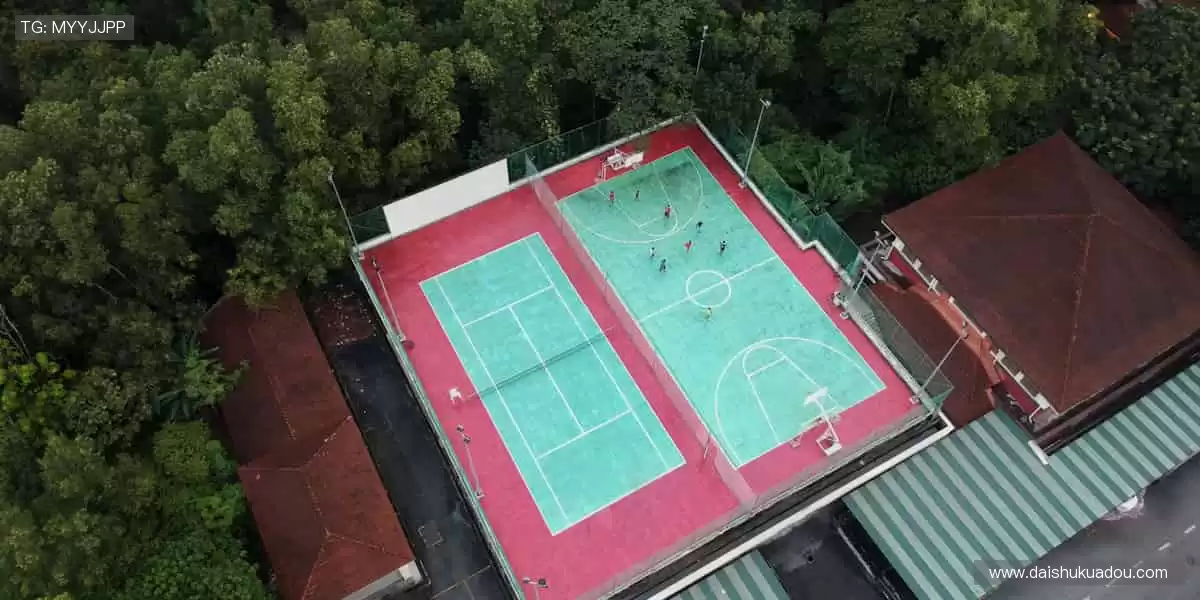 🎲趣味周边，玩转运动！🏐 用创意点燃你的运动日常！